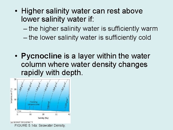  • Higher salinity water can rest above lower salinity water if: – the