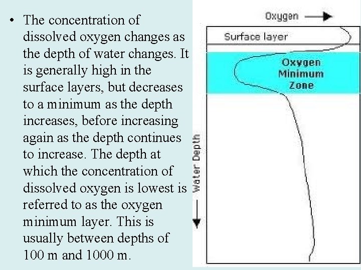  • The concentration of dissolved oxygen changes as the depth of water changes.