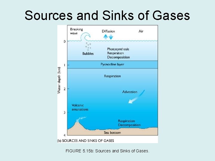 Sources and Sinks of Gases FIGURE 5. 15 b: Sources and Sinks of Gases.
