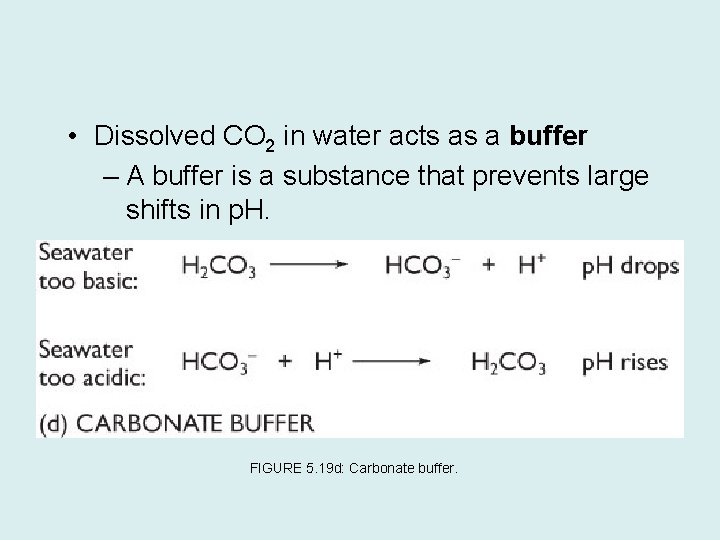  • Dissolved CO 2 in water acts as a buffer – A buffer