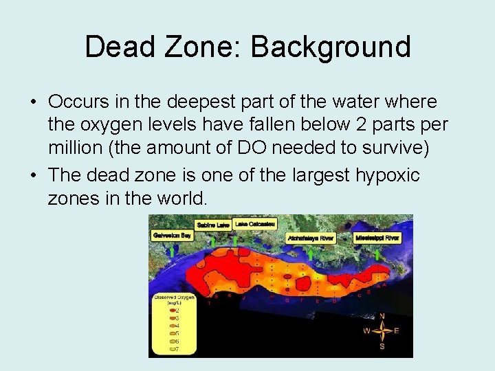 Dead Zone: Background • Occurs in the deepest part of the water where the