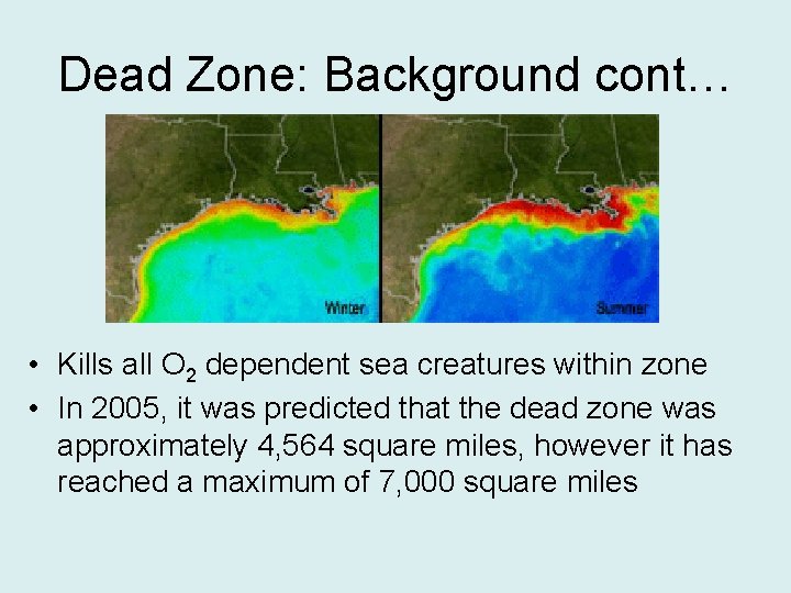 Dead Zone: Background cont… • Kills all O 2 dependent sea creatures within zone