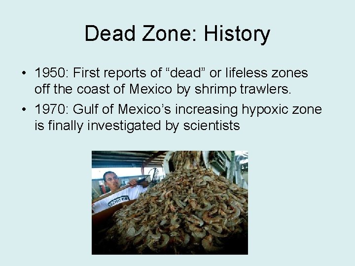 Dead Zone: History • 1950: First reports of “dead” or lifeless zones off the