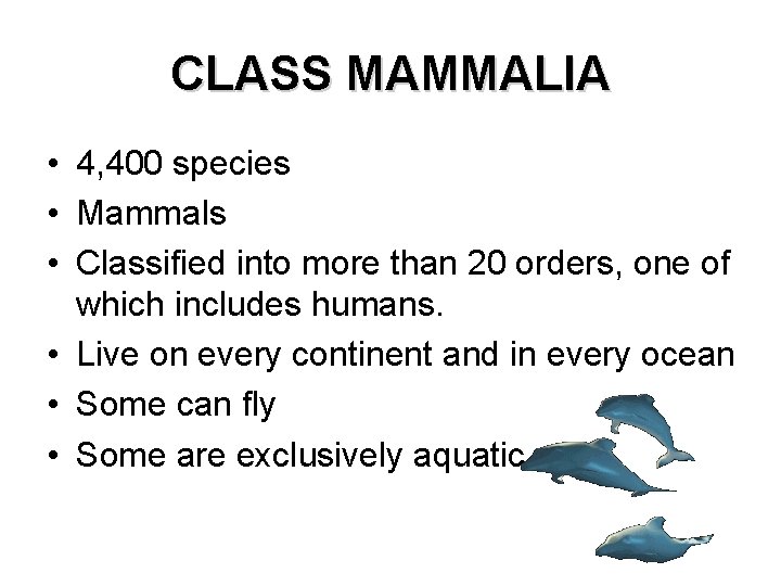 CLASS MAMMALIA • 4, 400 species • Mammals • Classified into more than 20