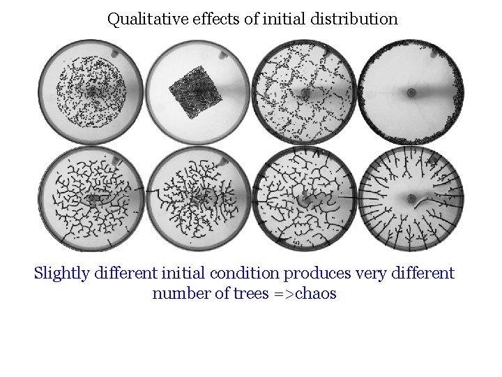 Qualitative effects of initial distribution Slightly different initial condition produces very different number of