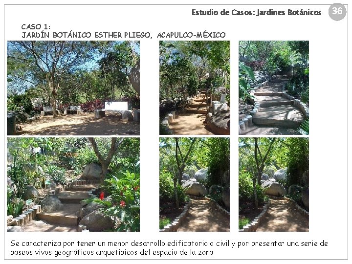 Estudio de Casos: Jardines Botánicos CASO 1: JARDÍN BOTÁNICO ESTHER PLIEGO, ACAPULCO-MÉXICO Se caracteriza