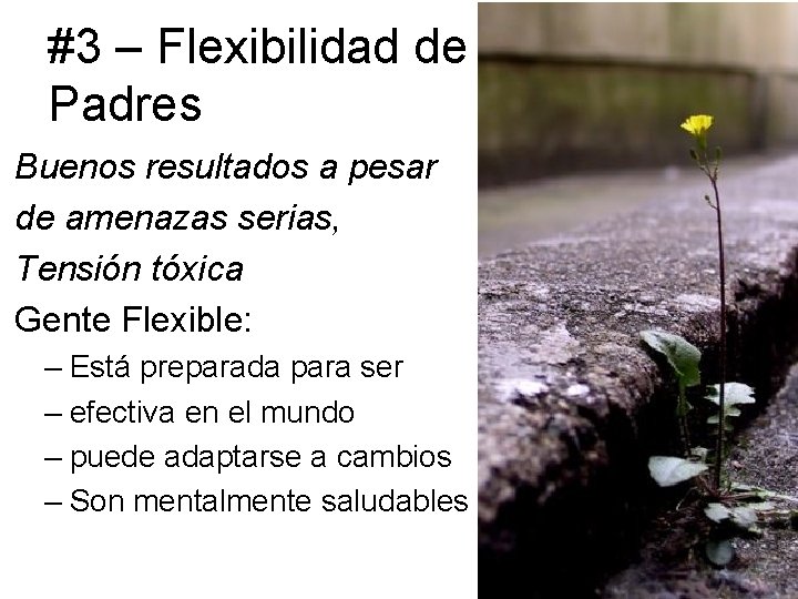 #3 – Flexibilidad de Padres Buenos resultados a pesar de amenazas serias, Tensión tóxica