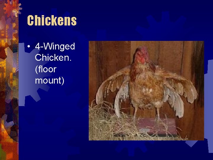 Chickens • 4 -Winged Chicken. (floor mount) Chickens • 4 -Winged Chicken. (floor mount)
