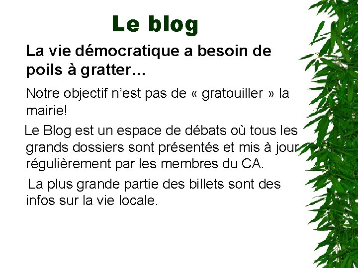 Le blog La vie démocratique a besoin de poils à gratter… Notre objectif n’est