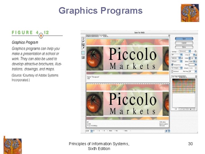 Graphics Programs Principles of Information Systems, Sixth Edition 30 