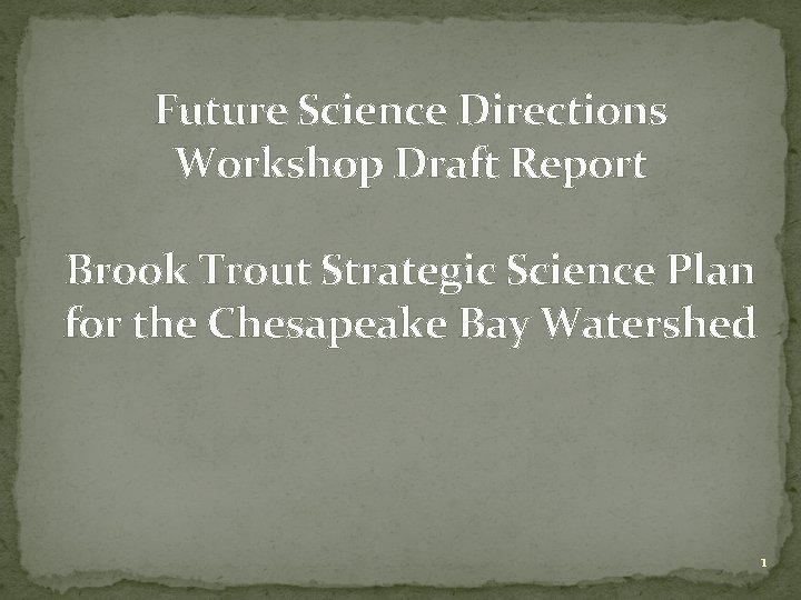 Future Science Directions Workshop Draft Report Brook Trout Strategic Science Plan for the Chesapeake