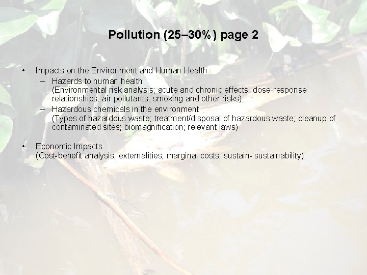 Pollution (25– 30%) page 2 • Impacts on the Environment and Human Health –