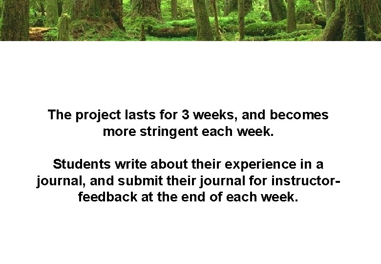 The project lasts for 3 weeks, and becomes more stringent each week. Students write