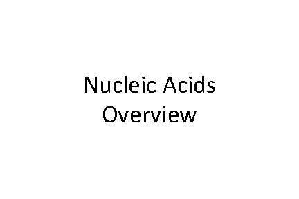 Nucleic Acids Overview 