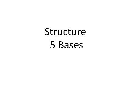 Structure 5 Bases 