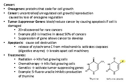 Cancer: • Oncogenes: proteins that code for cell growth • Cancer: uncontrolled/unregulated cell growth/reproduction