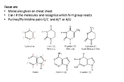 Focus on: • Molecules given on cheat sheet • Can I # the molecules