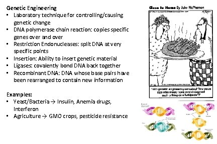 Genetic Engineering • Laboratory technique for controlling/causing genetic change • DNA polymerase chain reaction: