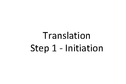 Translation Step 1 - Initiation 