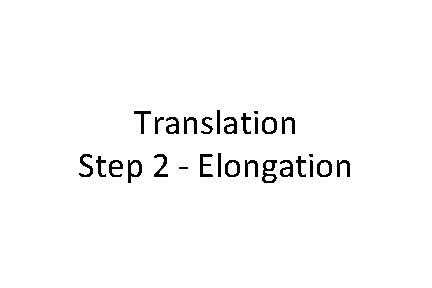 Translation Step 2 - Elongation 
