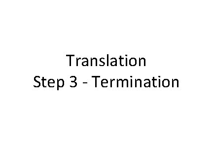Translation Step 3 - Termination 