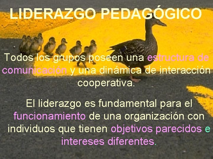 LIDERAZGO PEDAGÓGICO Todos los grupos poseen una estructura de comunicación y una dinámica de