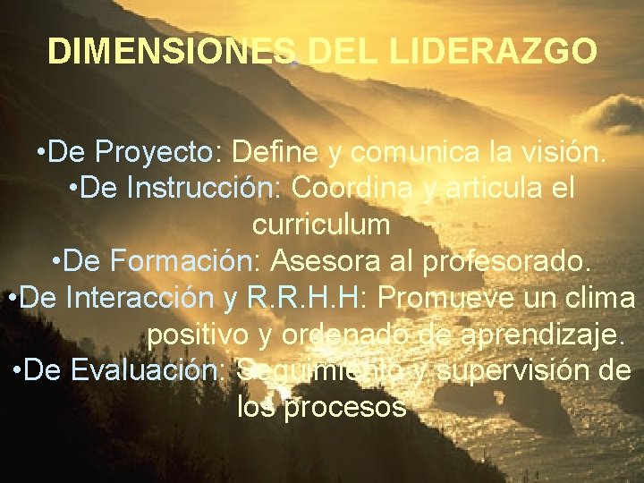 DIMENSIONES DEL LIDERAZGO • De Proyecto: Define y comunica la visión. • De Instrucción: