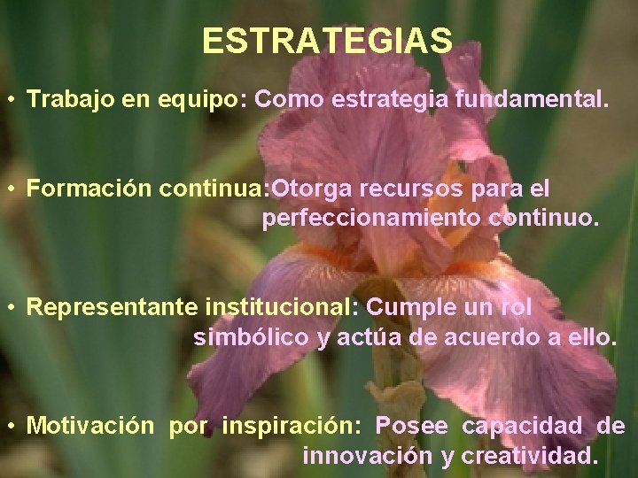 ESTRATEGIAS • Trabajo en equipo: Como estrategia fundamental. • Formación continua: Otorga recursos para