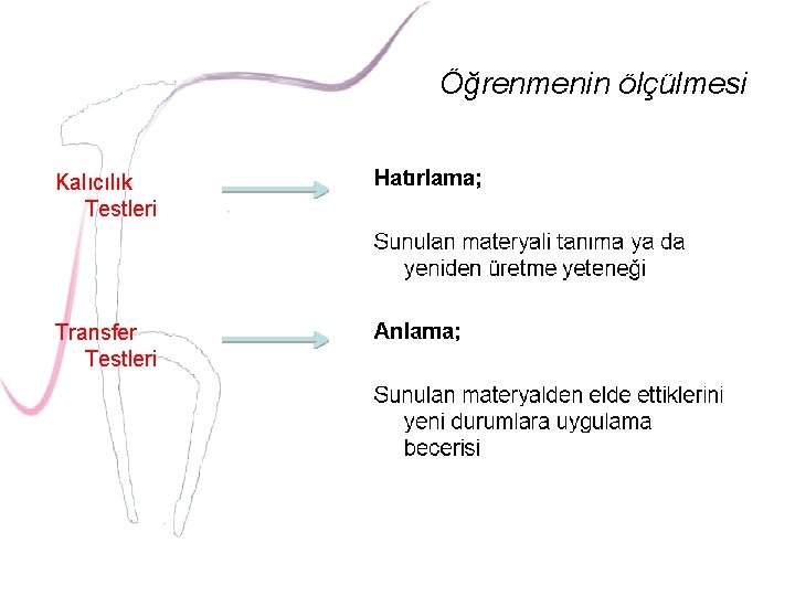 Öğrenmenin ölçülmesi Kalıcılık Testleri Transfer Testleri 