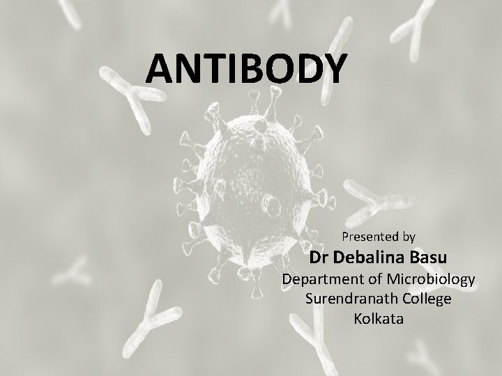 ANTIBODY Presented by Dr Debalina Basu Department of Microbiology Surendranath College Kolkata 