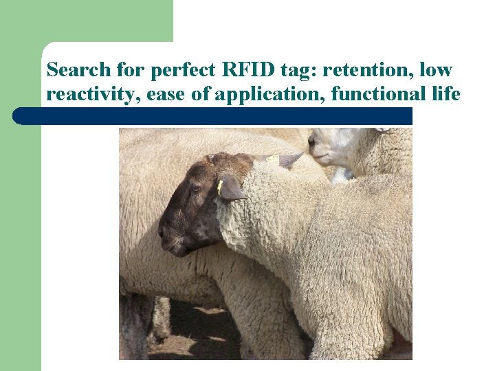Search for perfect RFID tag: retention, low reactivity, ease of application, functional life 