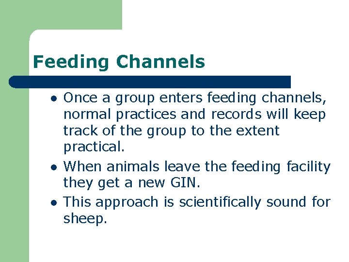 Feeding Channels l l l Once a group enters feeding channels, normal practices and