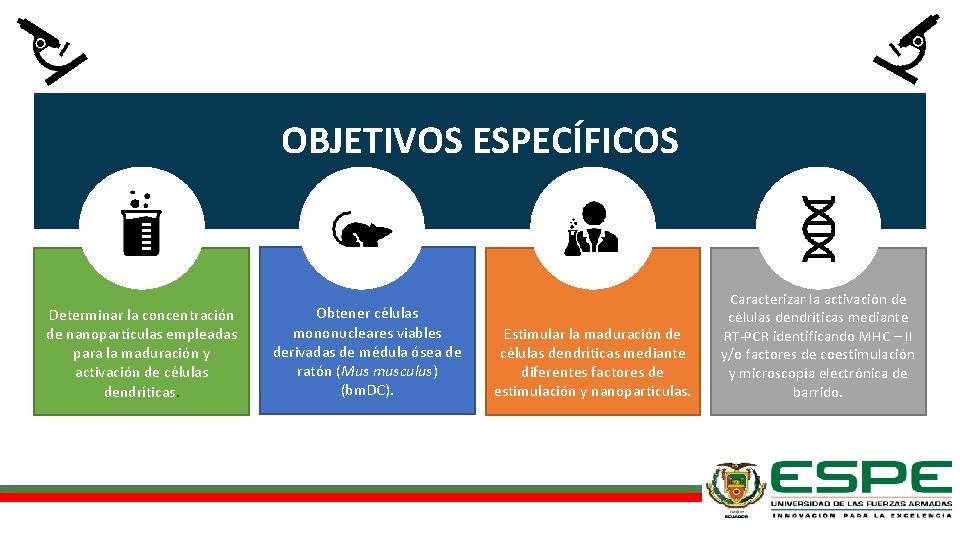 OBJETIVOS ESPECÍFICOS Determinar la concentración de nanopartículas empleadas para la maduración y activación de