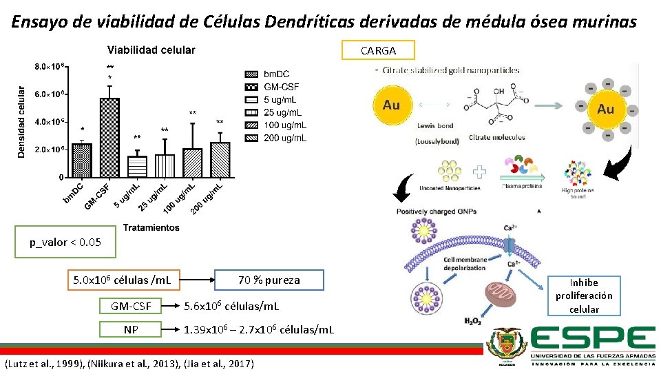 Ensayo de viabilidad de Células Dendríticas derivadas de médula ósea murinas CARGA p_valor <