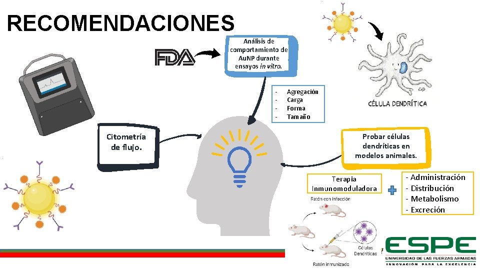 RECOMENDACIONES Análisis de comportamiento de Au. NP durante ensayos in vitro. - Citometría de