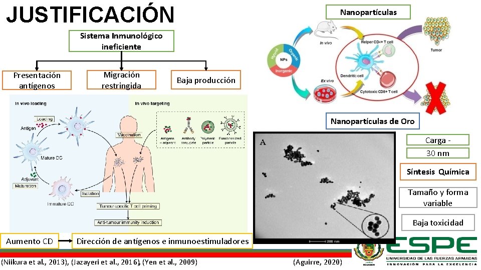 JUSTIFICACIÓN Nanopartículas Sistema Inmunológico ineficiente Presentación antígenos Migración restringida Baja producción Nanopartículas de Oro