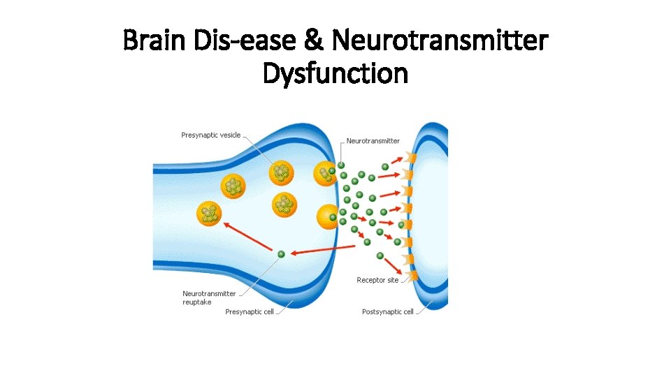 Brain Dis-ease & Neurotransmitter Dysfunction 