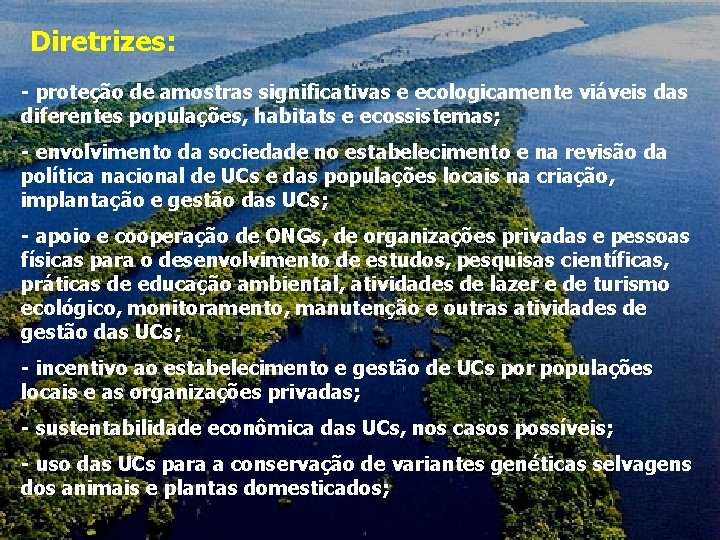 Diretrizes: - proteção de amostras significativas e ecologicamente viáveis das diferentes populações, habitats e