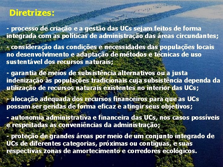 Diretrizes: - processo de criação e a gestão das UCs sejam feitos de forma