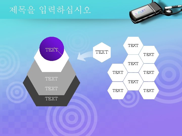 제목을 입력하십시오 TEXT TEXT TEXT TEXT 