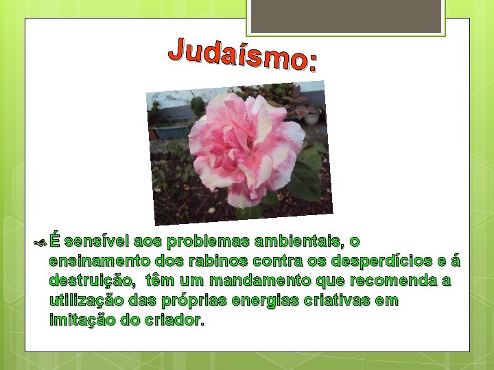 Judaísmo: É sensível aos problemas ambientais, o ensinamento dos rabinos contra os desperdícios e