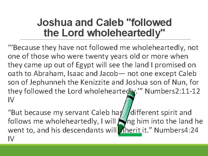 Joshua and Caleb "followed the Lord wholeheartedly" “‘Because they have not followed me wholeheartedly,