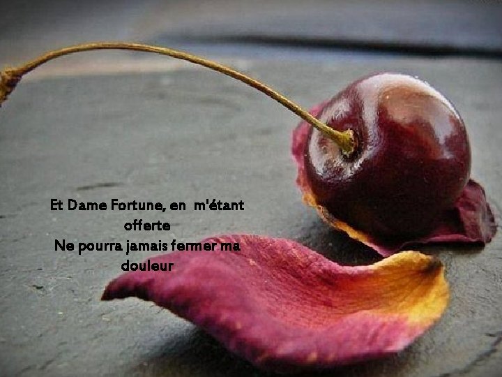 Et Dame Fortune, en m'étant offerte Ne pourra jamais fermer ma douleur 