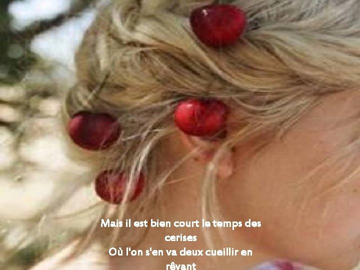 Mais il est bien court le temps des cerises Où l'on s'en va deux