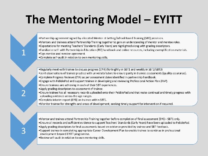 The Mentoring Model – EYITT 