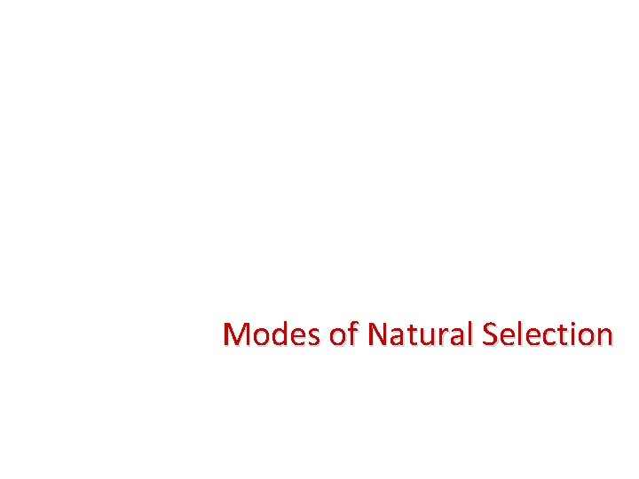 Modes of Natural Selection 
