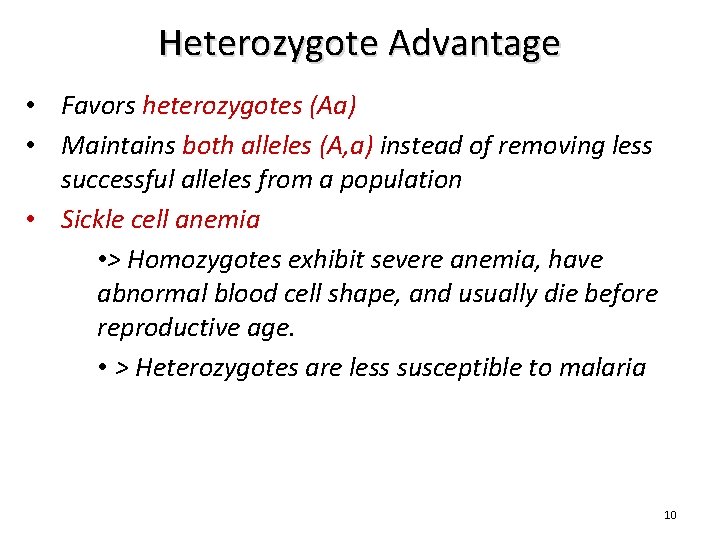 Heterozygote Advantage • Favors heterozygotes (Aa) • Maintains both alleles (A, a) instead of