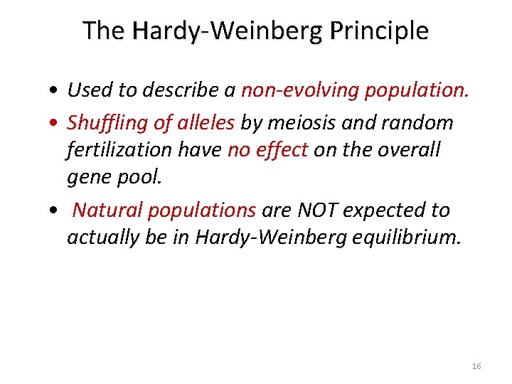 The Hardy-Weinberg Principle • Used to describe a non-evolving population. • Shuffling of alleles