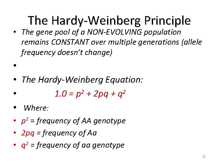 The Hardy-Weinberg Principle • The gene pool of a NON-EVOLVING population remains CONSTANT over