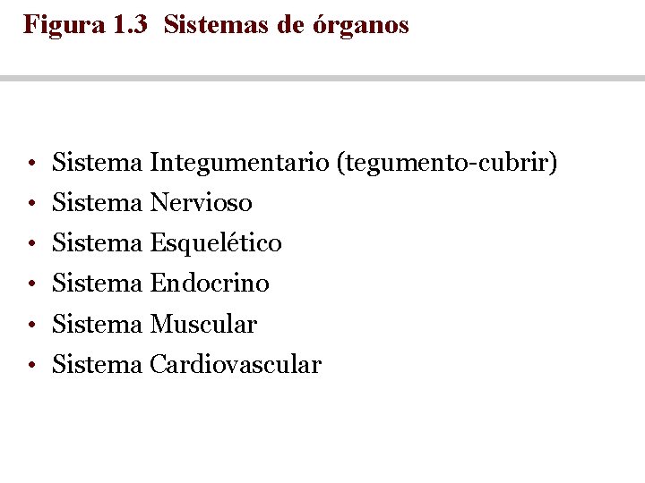 Figura 1. 3 Sistemas de órganos • Sistema Integumentario (tegumento-cubrir) • Sistema Nervioso •